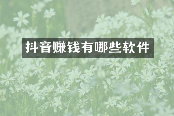 抖音赚钱有哪些软件