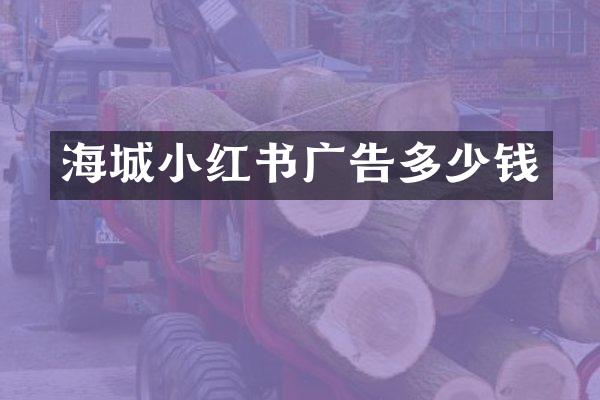 海城小红书广告多少钱