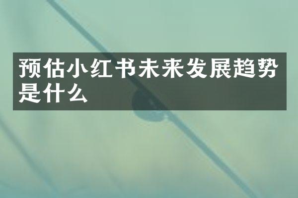 预估小红书未来发展趋势是什么