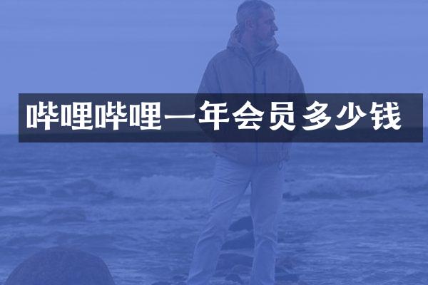 哔哩哔哩一年会员多少钱