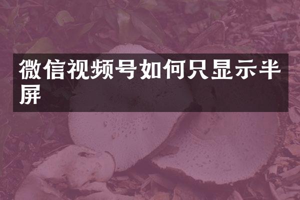 微信视频号如何只显示半屏