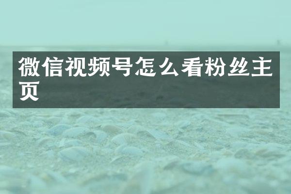 微信视频号怎么看粉丝主页