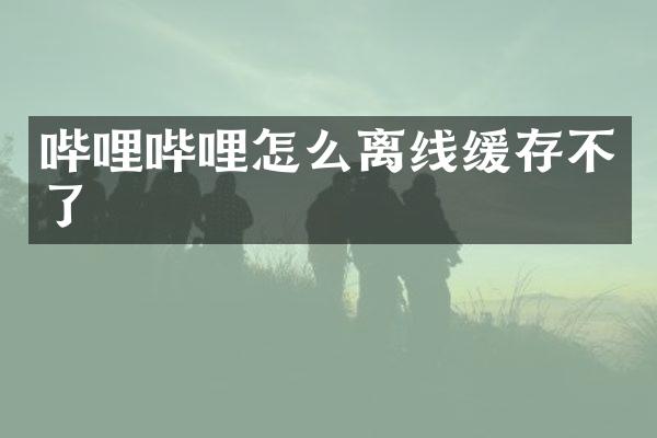 哔哩哔哩怎么离线缓存不了