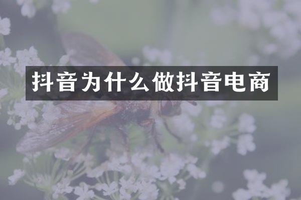抖音为什么做抖音电商