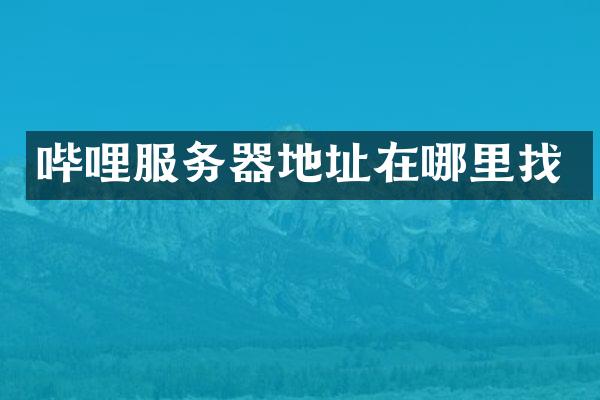 哔哩服务器地址在哪里找