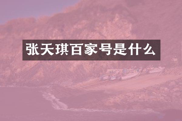 张天琪百家号是什么