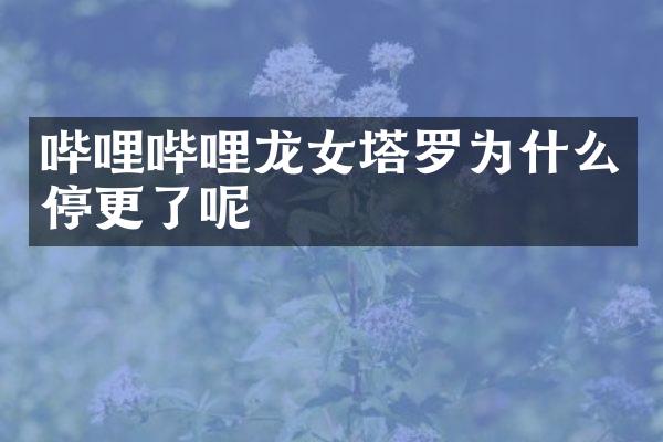哔哩哔哩龙女塔罗为什么停更了呢
