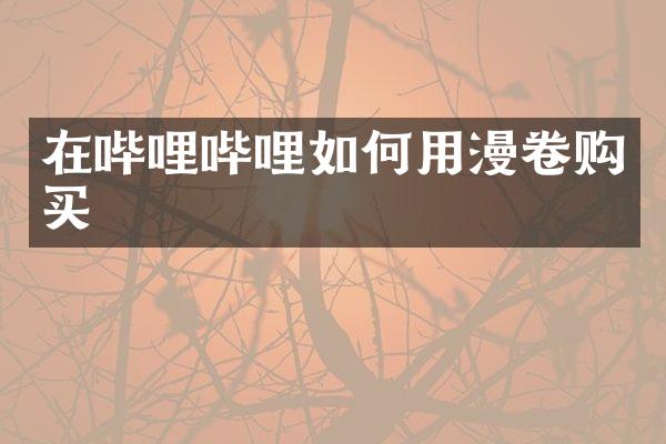 在哔哩哔哩如何用漫卷购买