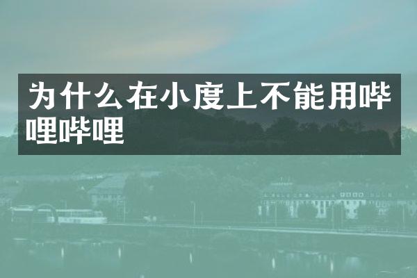 为什么在小度上不能用哔哩哔哩