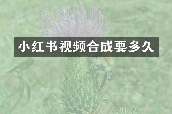 小红书视频合成要多久