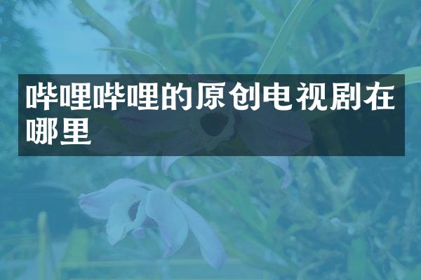 哔哩哔哩的原创电视剧在哪里