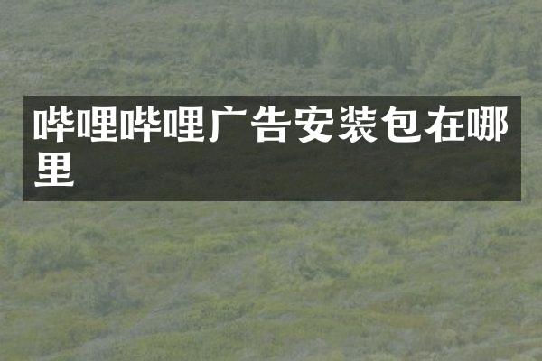 哔哩哔哩广告安装包在哪里