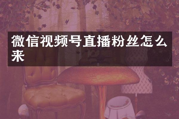微信视频号直播粉丝怎么来