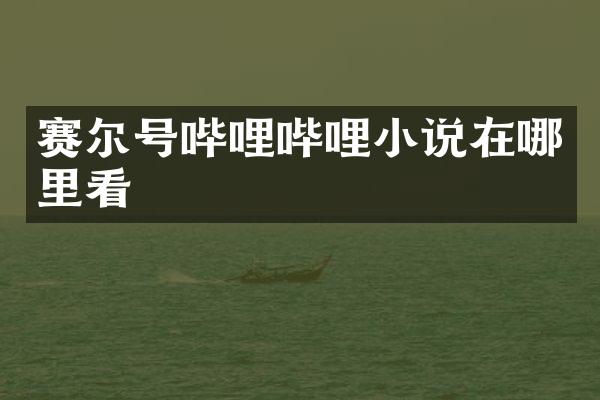 赛尔号哔哩哔哩小说在哪里看