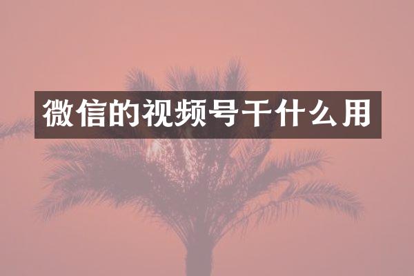微信的视频号干什么用