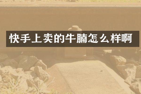 快手上卖的牛腩怎么样啊