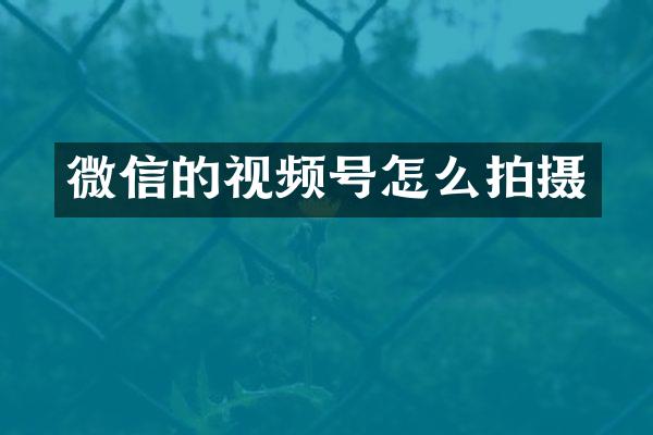 微信的视频号怎么拍摄