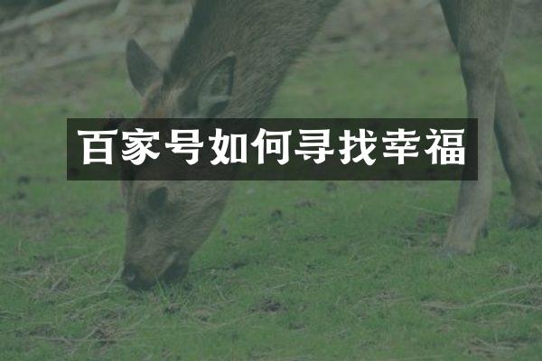 百家号如何寻找幸福