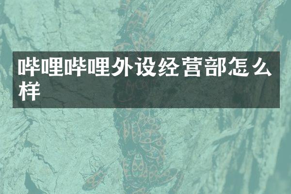 哔哩哔哩外设经营部怎么样