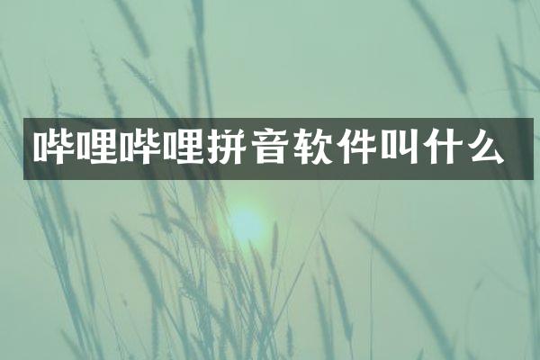 哔哩哔哩拼音软件叫什么