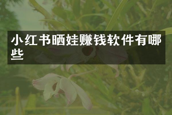 小红书晒娃赚钱软件有哪些