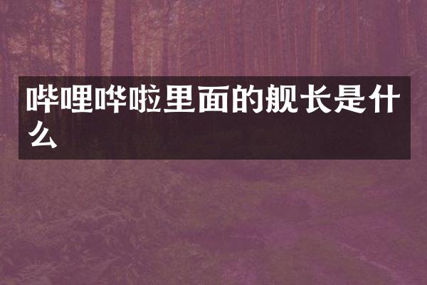 哔哩哗啦里面的舰长是什么