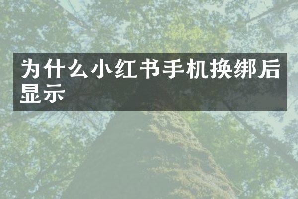 为什么小红书手机换绑后显示