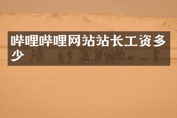 哔哩哔哩网站站长工资多少