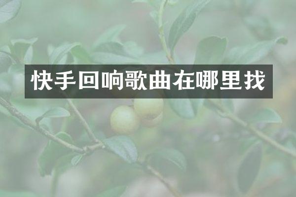 快手回响歌曲在哪里找