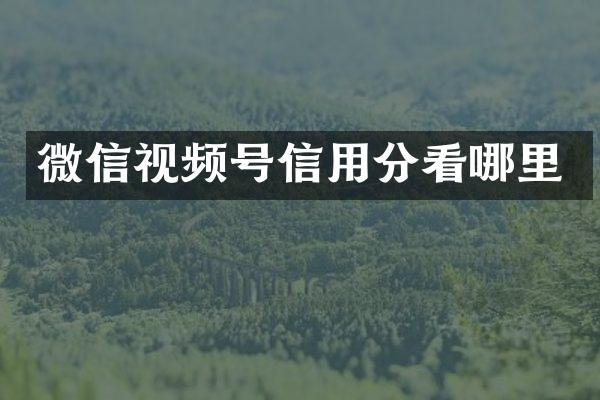微信视频号信用分看哪里