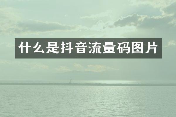 什么是抖音流量码图片