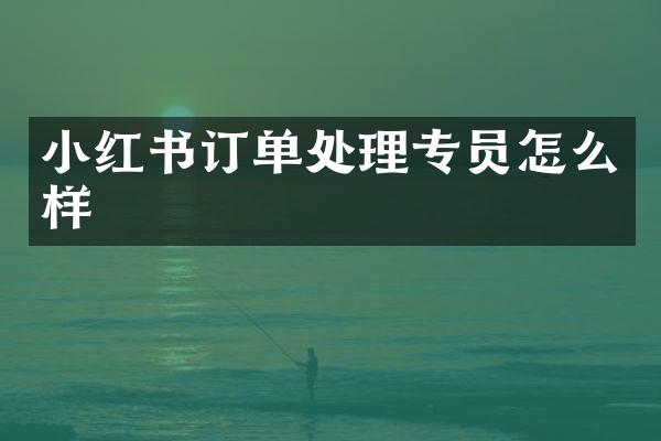 小红书订单处理专员怎么样