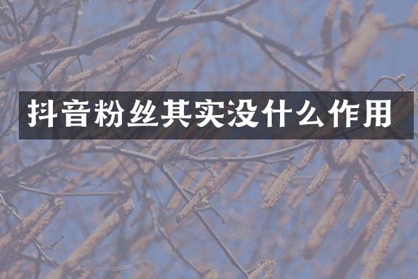 抖音粉丝其实没什么作用