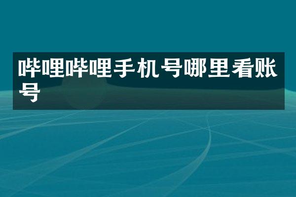 哔哩哔哩手机号哪里看账号