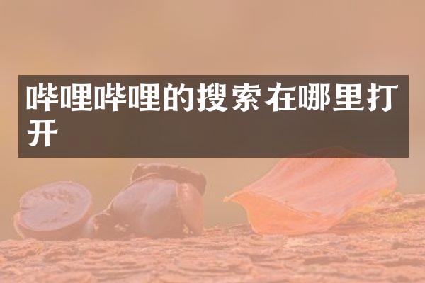 哔哩哔哩的搜索在哪里打开