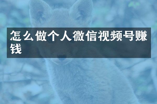怎么做个人微信视频号赚钱