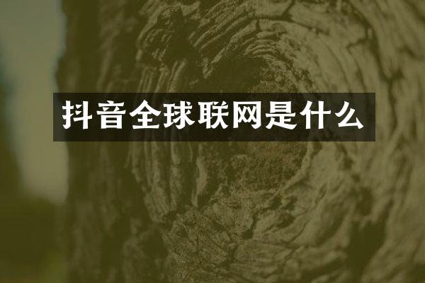 抖音全球联网是什么
