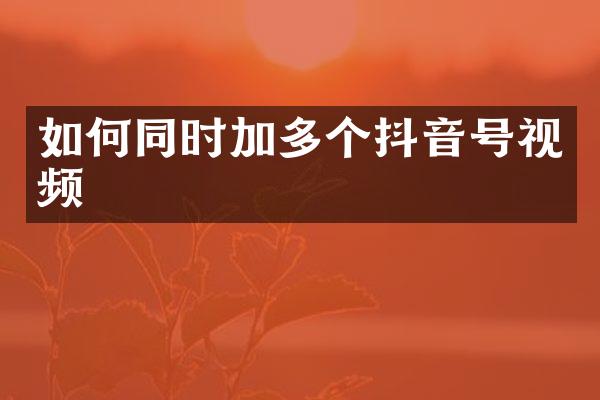 如何同时加多个抖音号视频