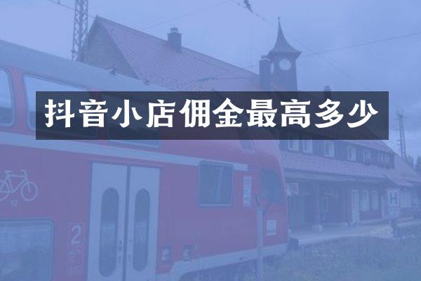 抖音小店佣金最高多少