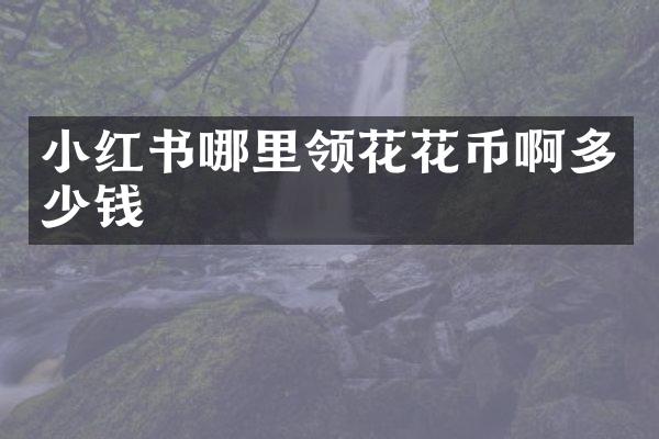 小红书哪里领花花币啊多少钱