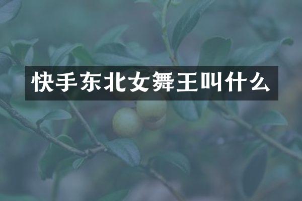 快手东北女舞王叫什么