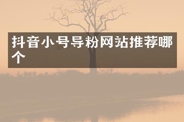 抖音小号导粉网站推荐哪个