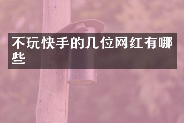 不玩快手的几位网红有哪些