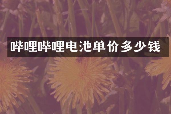 哔哩哔哩电池单价多少钱