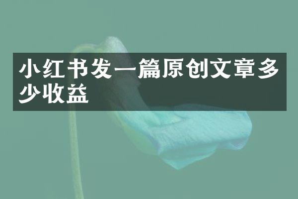 小红书发一篇原创文章多少收益