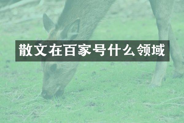 散文在百家号什么领域