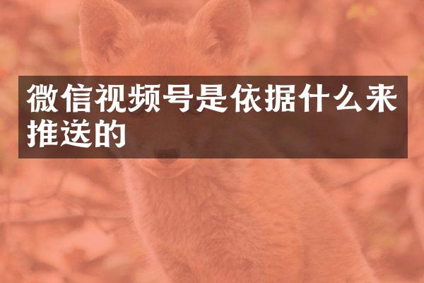 微信视频号是依据什么来推送的