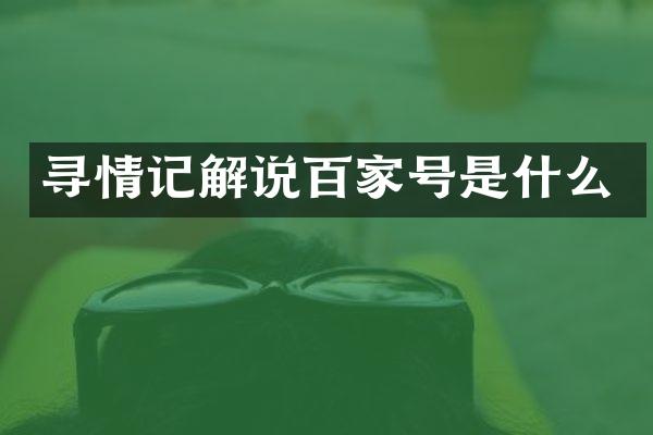 寻情记解说百家号是什么