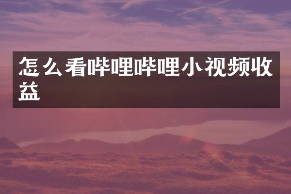 怎么看哔哩哔哩小视频收益