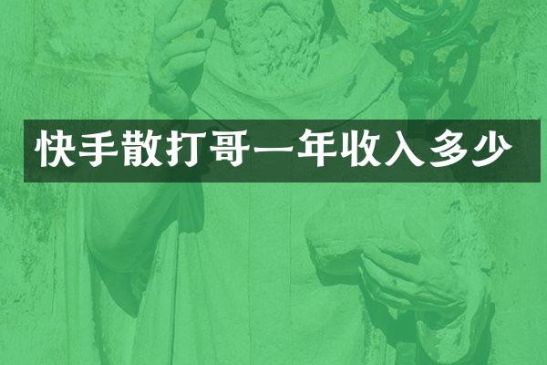 快手散打哥一年收入多少